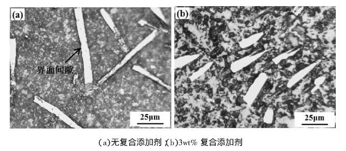 圖2 陶瓷基復合材料的顯微組織