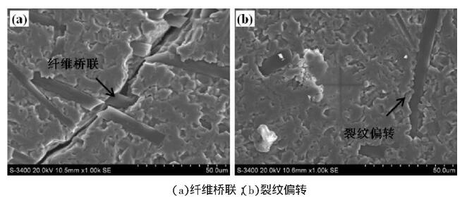 圖4 摻入復合添加劑的陶瓷基復合材料的顯微組織